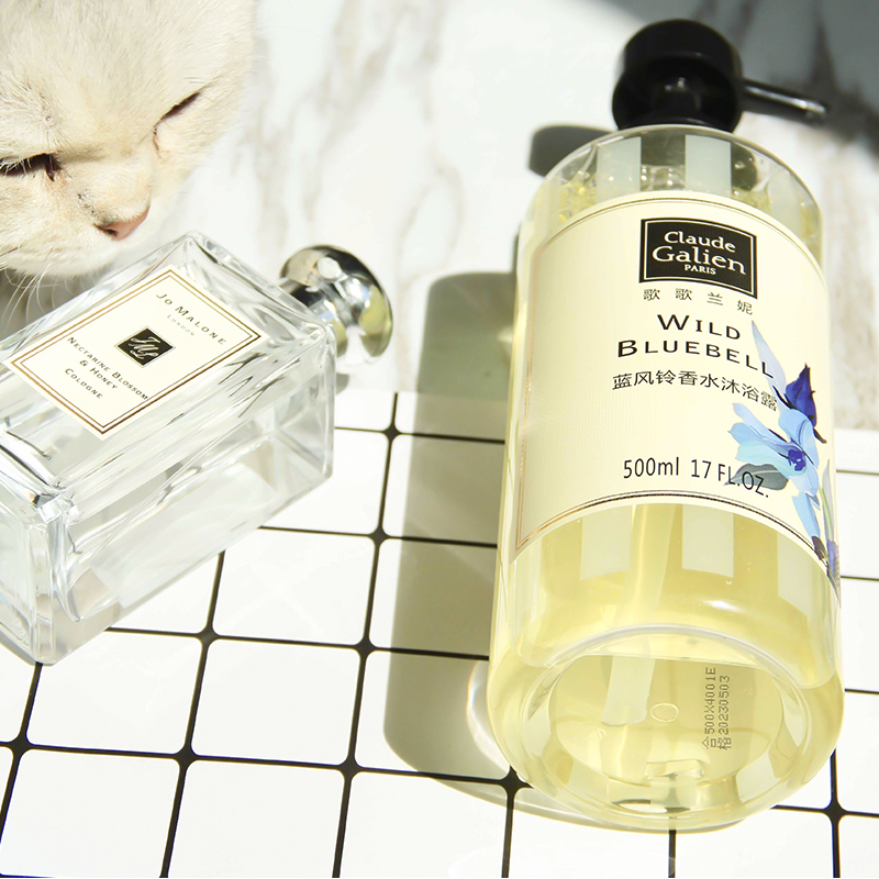 歌歌兰妮 蓝风...